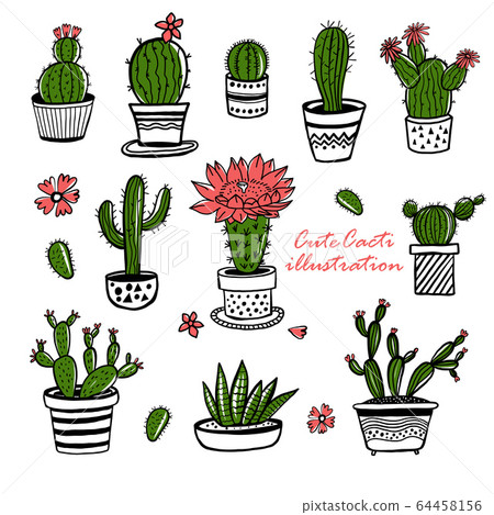 Potted Cactus PNG Images, Drawing Plant, Hand Painted Flowers