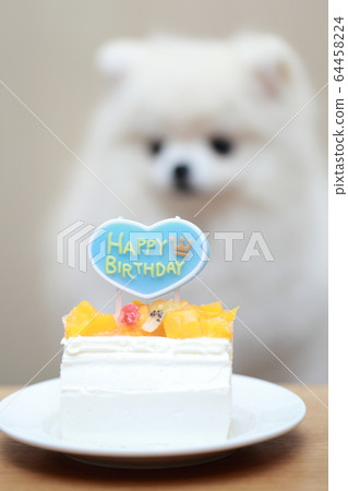 pomeranian birthday cake