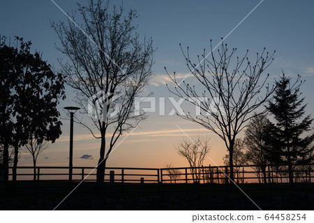 公園的黃昏 64458254