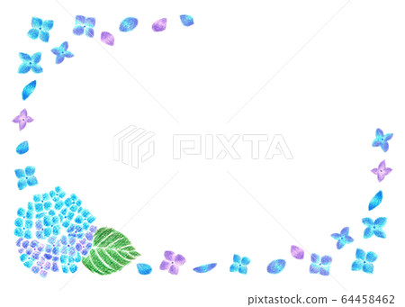 Hydrangea frame color pencil drawing Hydrangea frame color pencil drawing 64458462