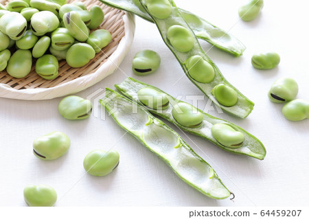 Broad beans Broad beans 64459207