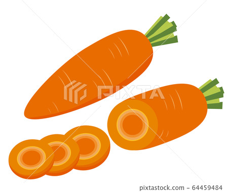 胡蘿蔔蔬菜圖矢量 胡蘿蔔蔬菜圖矢量 64459484