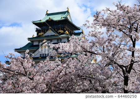 Osaka Castle Nishinomaru Garden Sakura Osaka Castle Nishinomaru Garden Sakura 64460250