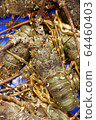 Vietnamese gourmet live lobster 64460403