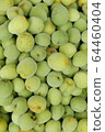 Spring tradition plum fruit 64460404