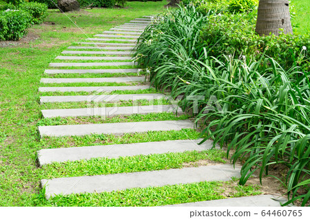 stone walkway in garden 64460765