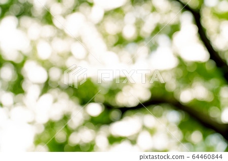 natural green bokeh abstract background,blurred natural green bokeh abstract background,blurred 64460844