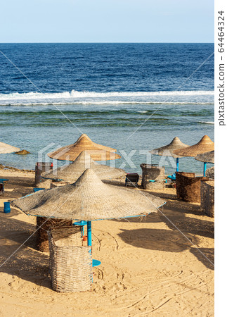 Red Sea beach with straw umbrellas - Marsa Alam Egypt Africa  64464324