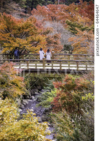 （靜岡縣）熱海梅園紅葉祭秋葉 64464647