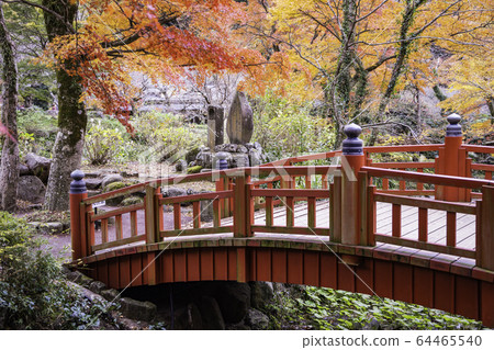 （靜岡縣）熱海梅園紅葉祭秋葉 64465540