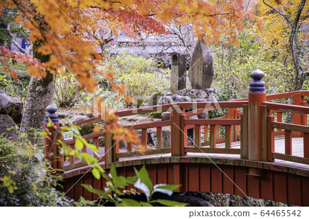 （靜岡縣）熱海梅園紅葉祭秋葉 64465542