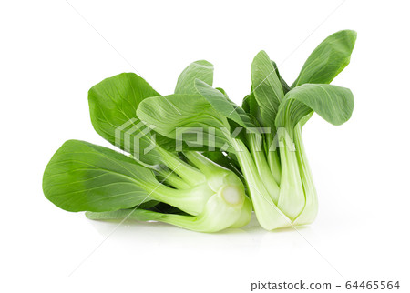 Bok choy isolated on white background. full depth of field Bok choy isolated on white background. full depth of field 64465564