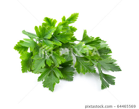 fresh parsley herb isolated on white background. full depth of field fresh parsley herb isolated on white background. full depth of field 64465569