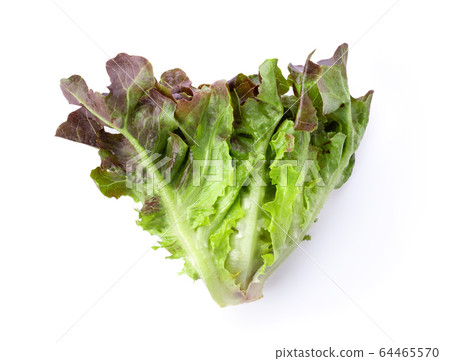 Red oak lettuce on white background. top view 64465570