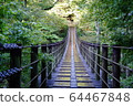 Suspension bridge 64467848