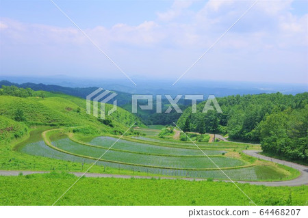 Ogi Rice Terraces, Ubuyama, Kumamoto Prefecture 64468207