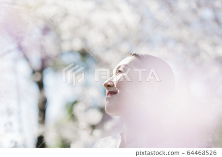 一個櫻花盛開,東方美女的女人 一個櫻花盛開,東方美女的女人 64468526