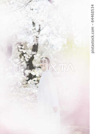 一個櫻花盛開，東方美女的女人 64468534