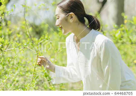 植物與中間的女人 植物與中間的女人 64468705