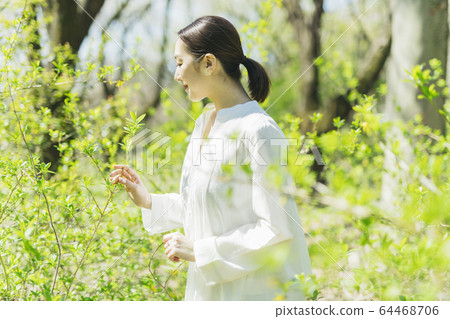 植物與中間的女人 64468706