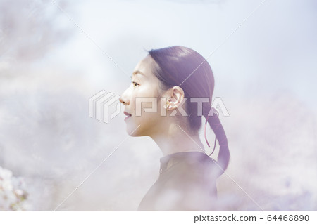 A woman with cherry blossoms in full bloom and oriental beauty 64468890
