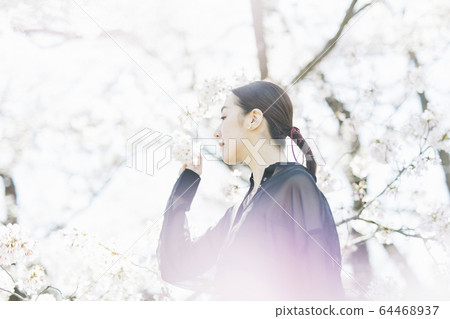 A woman with cherry blossoms in full bloom and oriental beauty 64468937