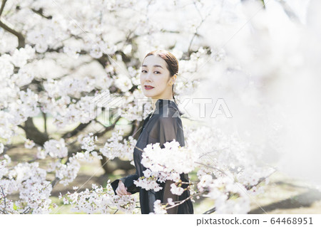 一個櫻花盛開，東方美女的女人 64468951