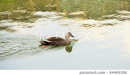 完成必要的業務（車輛檢驗交付）併步行回家 64469398