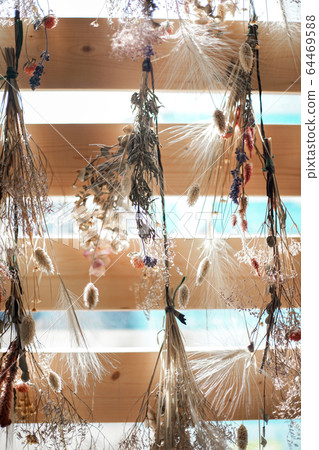 Dried flower interior Dried flower interior 64469588