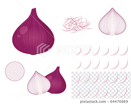 紫洋蔥_紅洋蔥_插圖集 64470869
