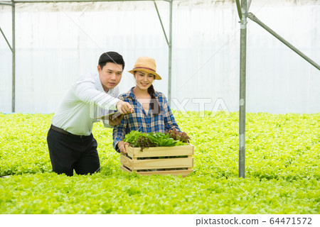 Organic vegetable farm,asian couple farmers inspect organic vegetables in the farm 64471572