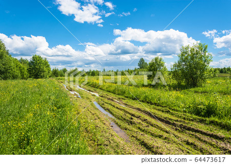 Dirt road after rain. Dirt road after rain. 64473617