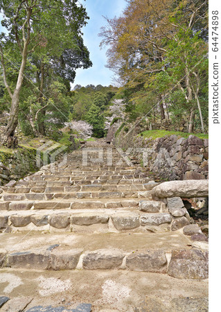 [Azuchi Castle Ruins] Shimotoyoura, Azuchi Town, Omihachiman City, Shiga Prefecture 64474898
