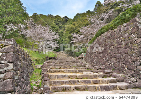 [Azuchi Castle Ruins] Shimotoyoura, Azuchi Town, Omihachiman City, Shiga Prefecture 64474899