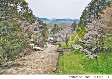 [Azuchi Castle Ruins] Shimotoyoura, Azuchi Town, Omihachiman City, Shiga Prefecture 64474901