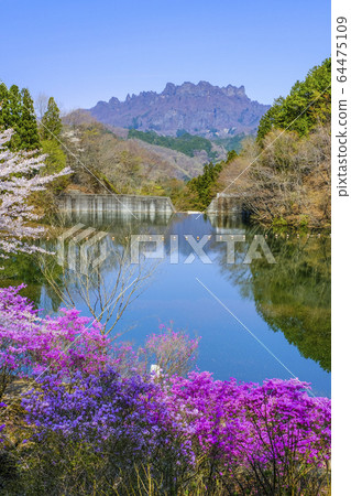 充滿鮮花的大數字湖（垂直） 64475109