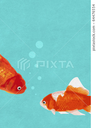 剛孵出的金魚夏天到來 剛孵出的金魚夏天到來 64476554