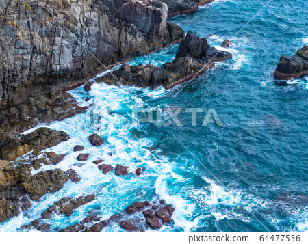 Cape Ashizuri的懸崖 64477556