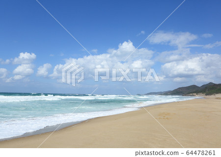 琴島海灘海 64478261