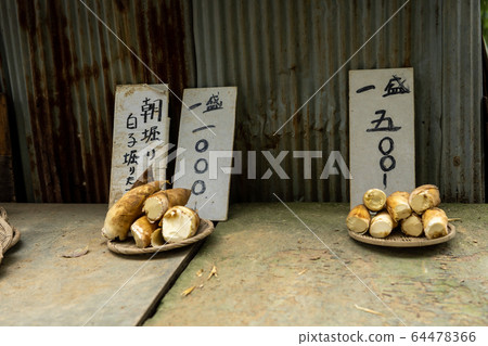 從京都府南山城的風箏的照片 從京都府南山城的風箏的照片 64478366