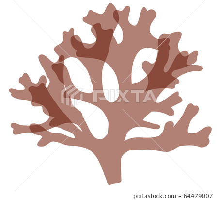 海藻紅藻矢量素材 海藻紅藻矢量素材 64479007