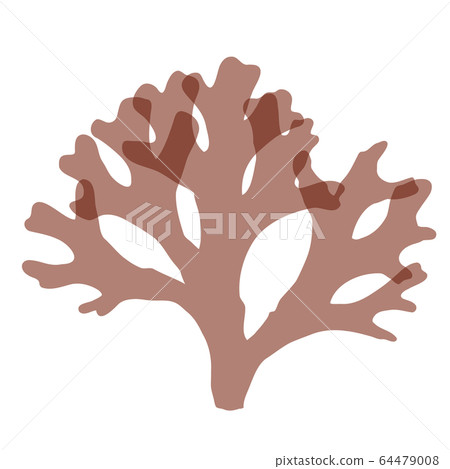 Seaweed red algae vector material 64479008