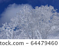 A tree 64479460