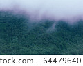 Nature  64479640