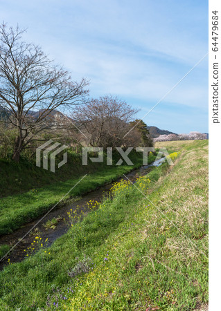 Spring brook 64479684