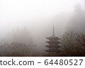 哈塞德拉005 64480527