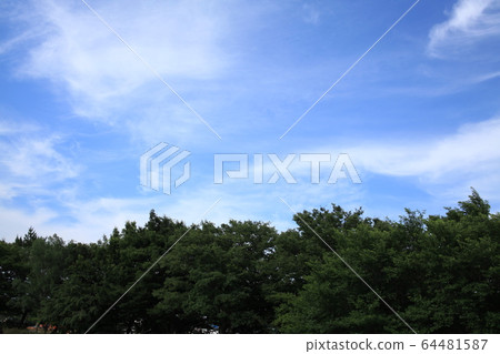 Sky Sky 64481587