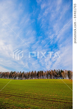 美瑛四月春 64481703