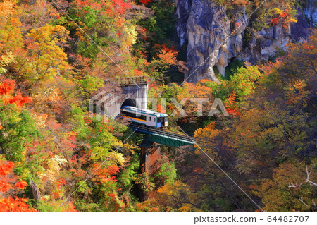 [Miyagi] Train crossing Narukokyo in autumn colors 64482707
