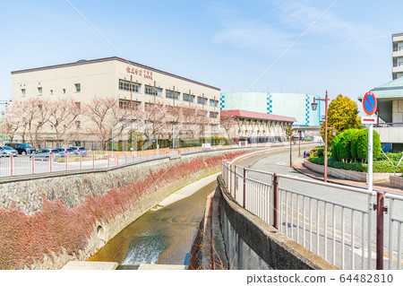 東京都杉並區7號公路和田ori橋周圍的風景 東京都杉並區7號公路和田ori橋周圍的風景 64482810